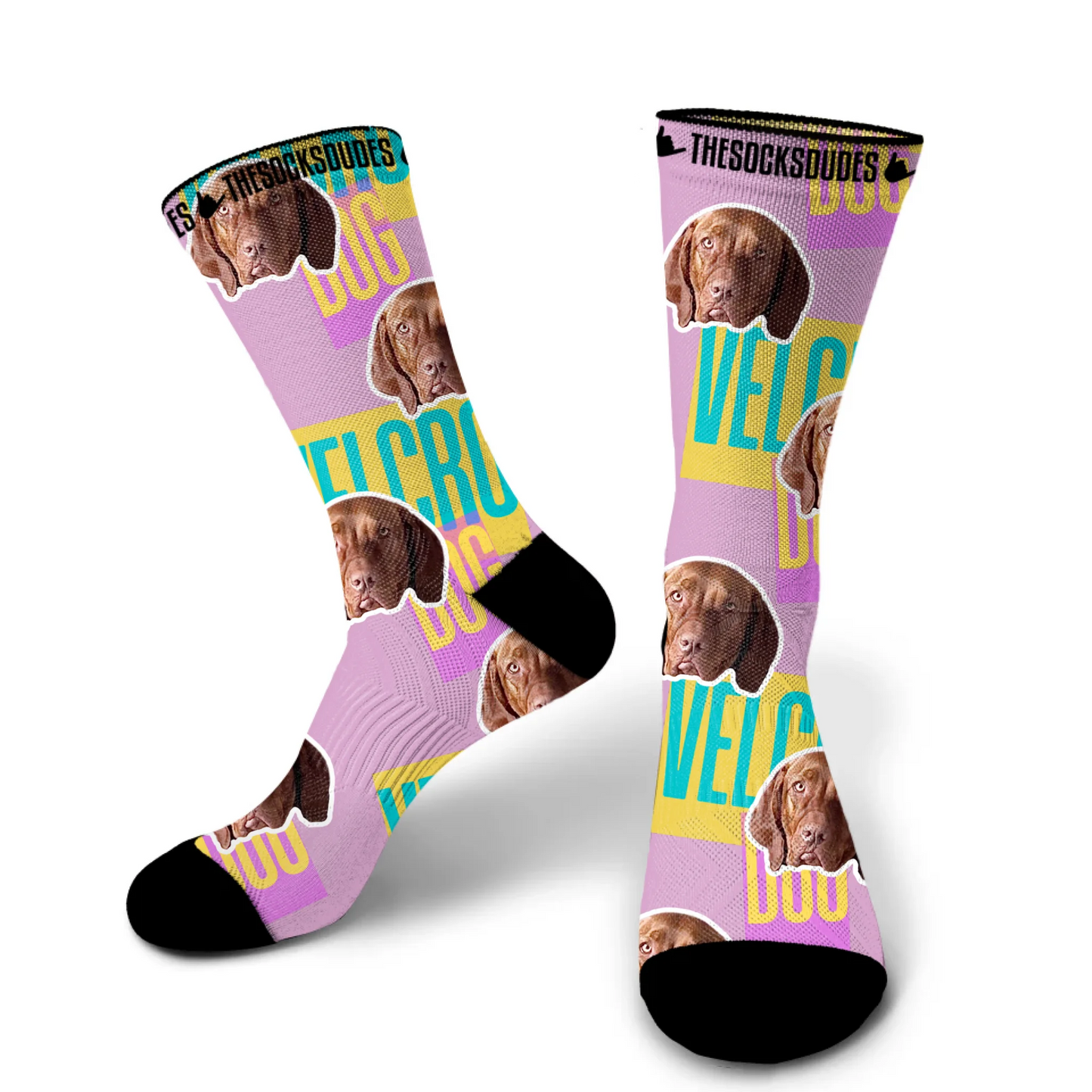 Custom dog socks in small size with green background - personalised pet photo gift 